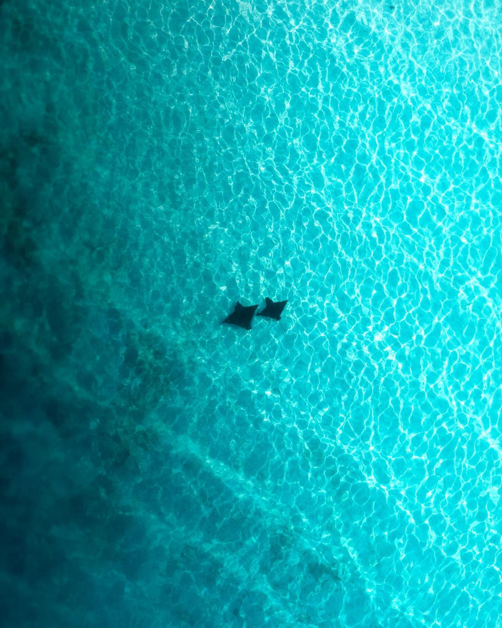 Araamu Hotels Maldives At Dhiffushi Dış mekan fotoğraf
