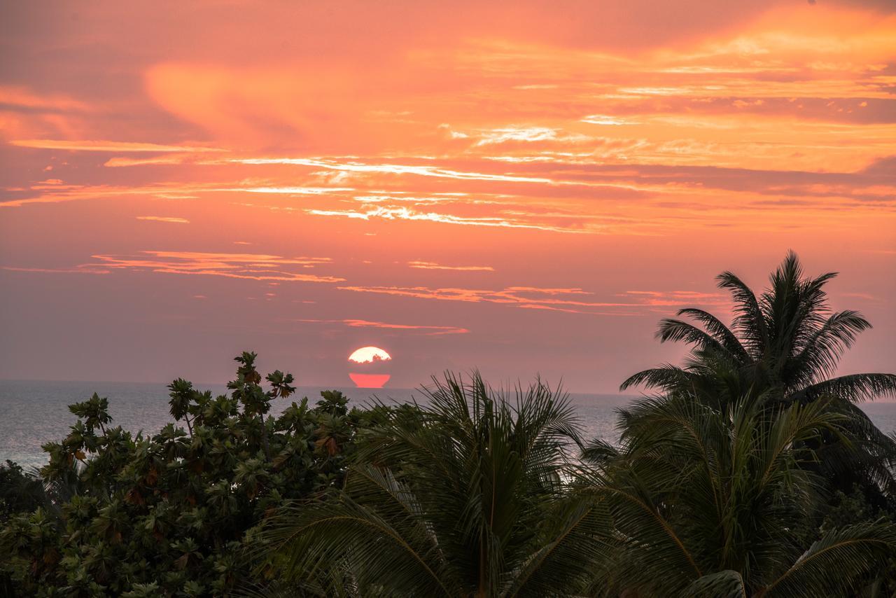 Araamu Hotels Maldives At Dhiffushi Dış mekan fotoğraf